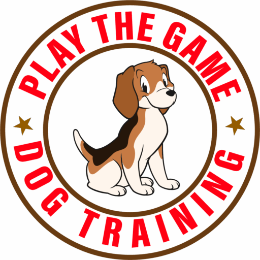 Play The Game Dog Training