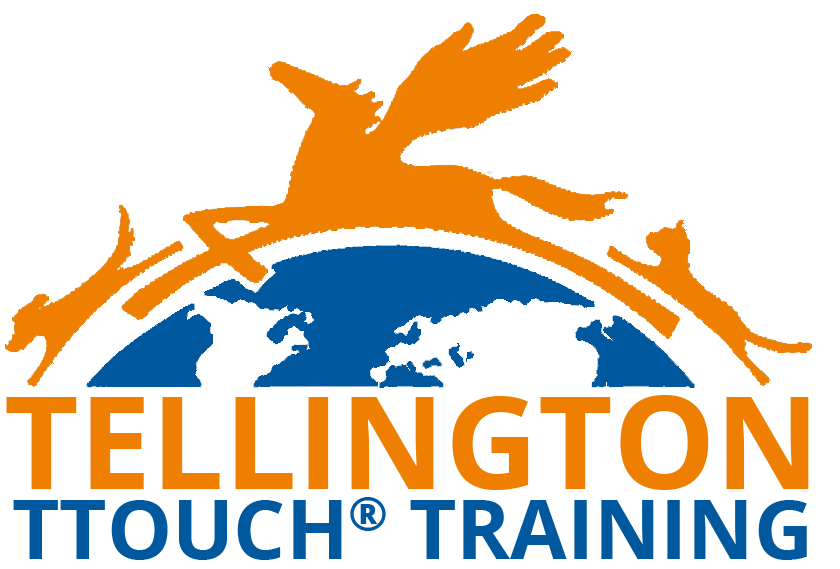 Play The Game Dog Training | Tellington TTouch Training